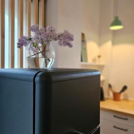 Elbquartier Apartments Magdeburg 'Fabrik61' מראה חיצוני תמונה