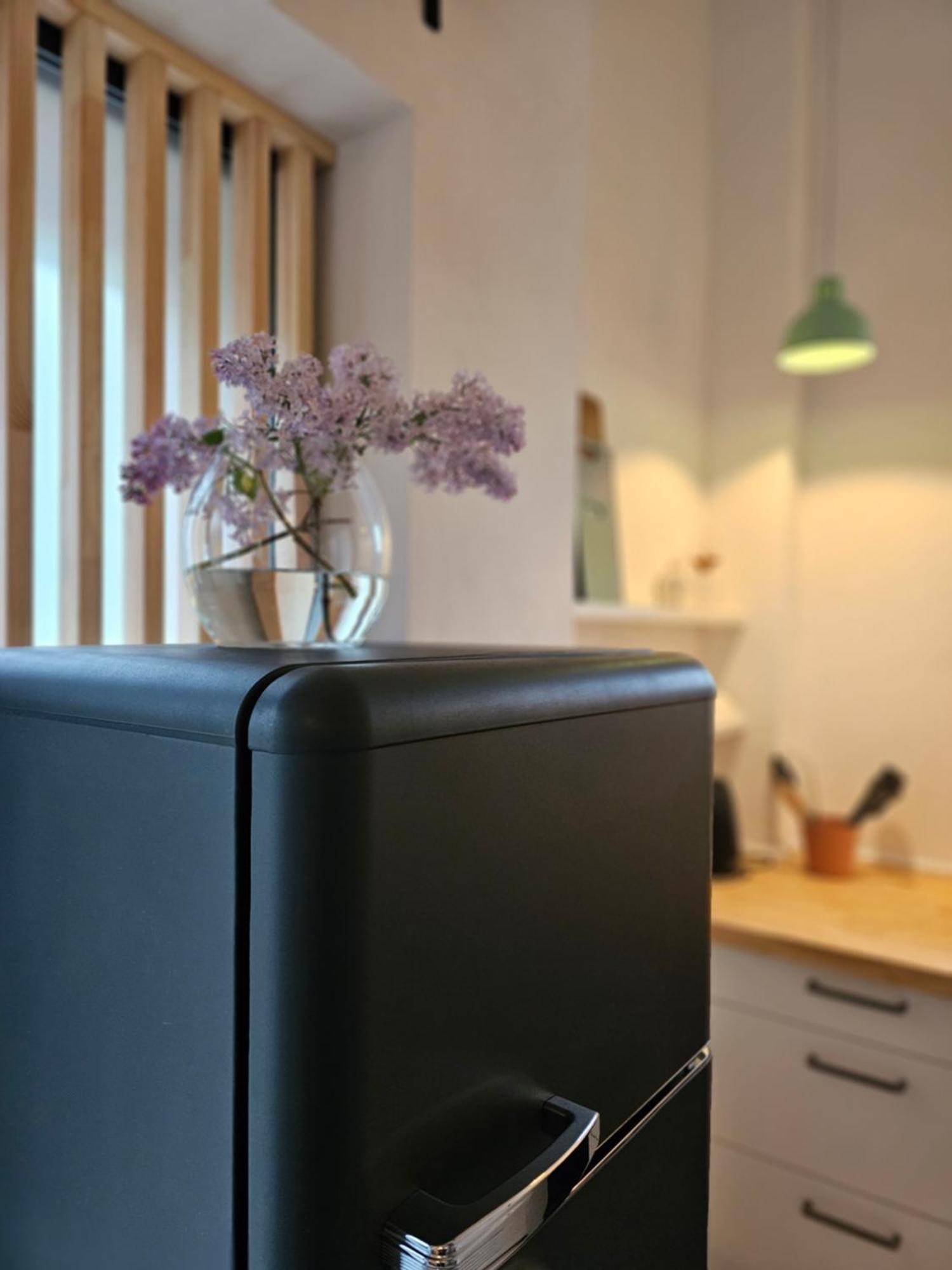 Elbquartier Apartments Magdeburg 'Fabrik61' מראה חיצוני תמונה